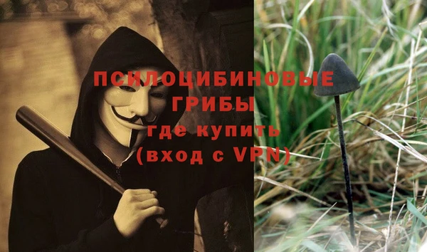 первитин Алексеевка