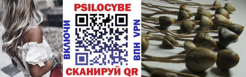 Псилоцибиновые грибы мицелий  Бокситогорск 